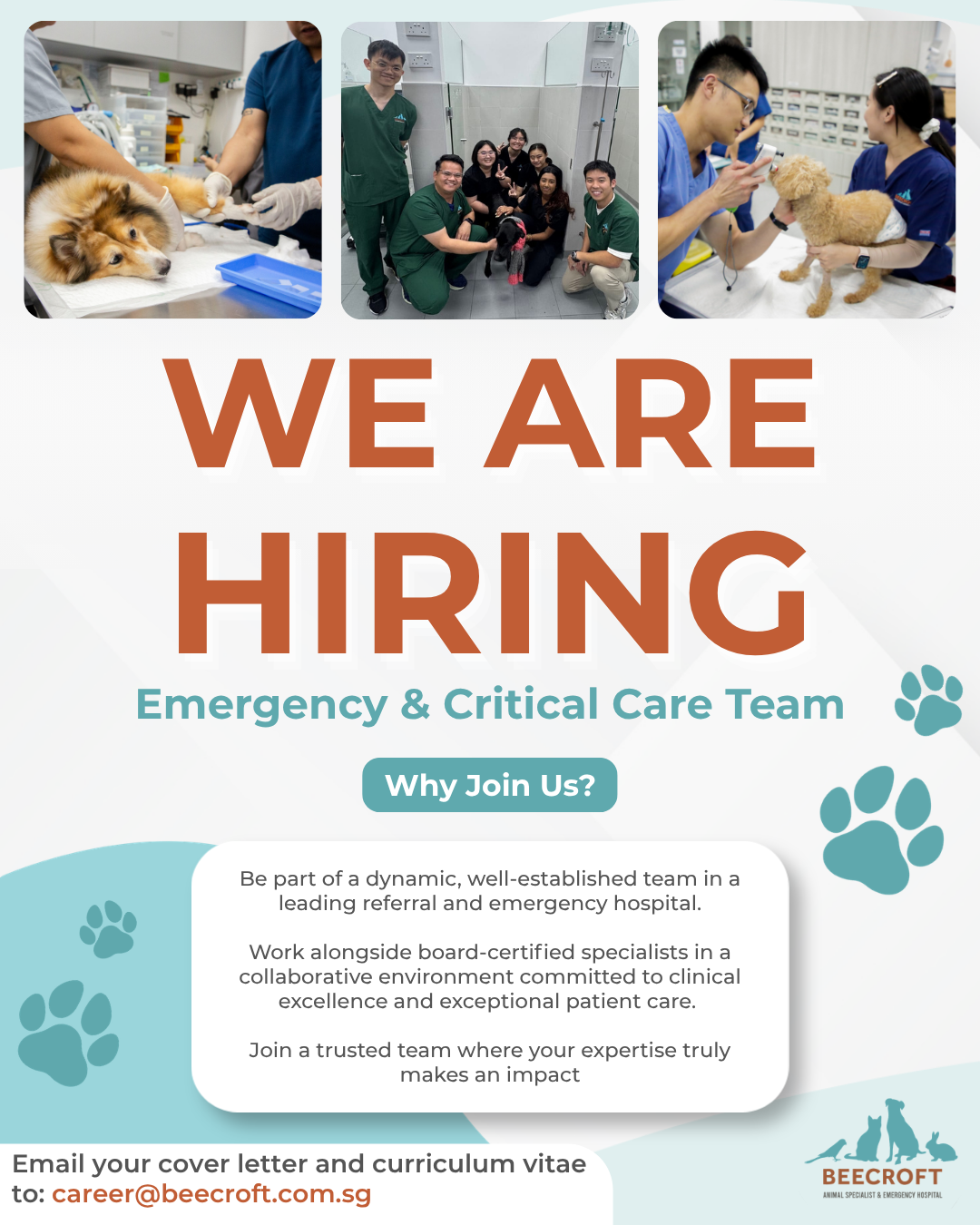 “We Are Hiring - ECC Veterinarian” 2026